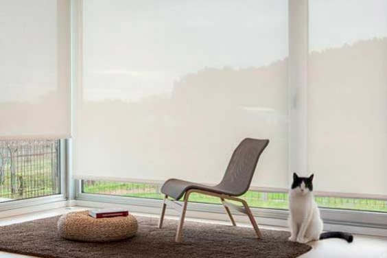 Estores para casas con mascotas: Soluciones duraderas y seguras 